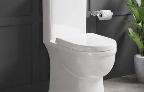 bathroom ware tuam galway ireland ceramics fully enclosed back to wall farnham toilet pan & soft close seat